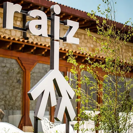 Raiz 로아